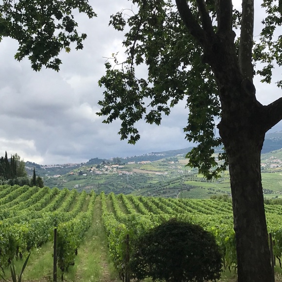 Oh, Hello π» - Picture 2 of 11